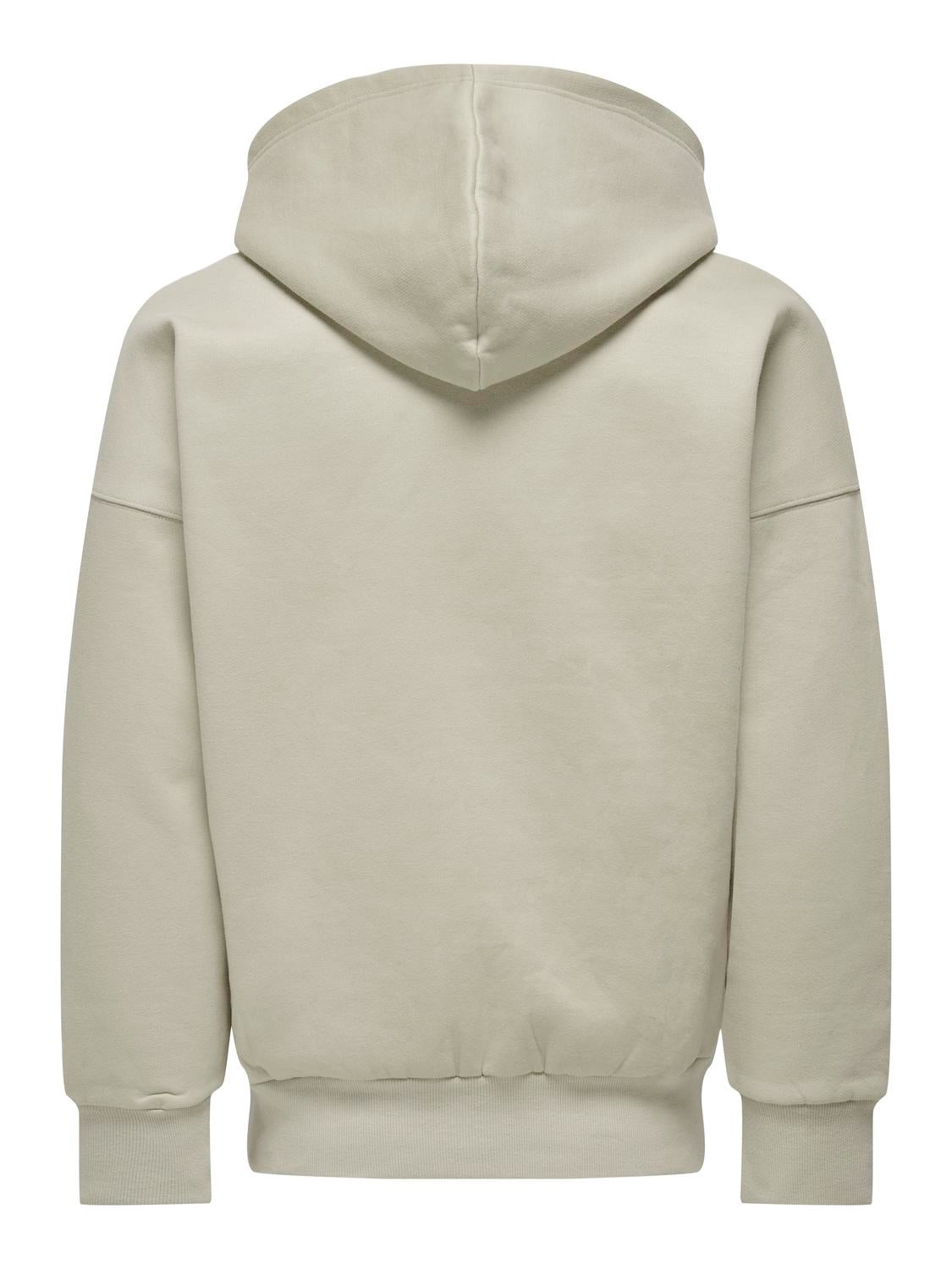 ONSDAN Sweatshirt Silver Lining