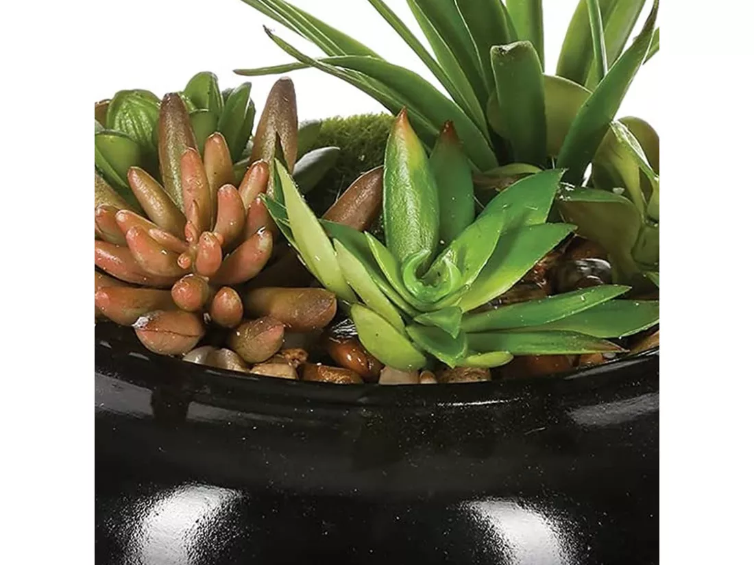WELL HOME - Composition centre de table composée d'un assortiment de plantes avec un vase en céramique