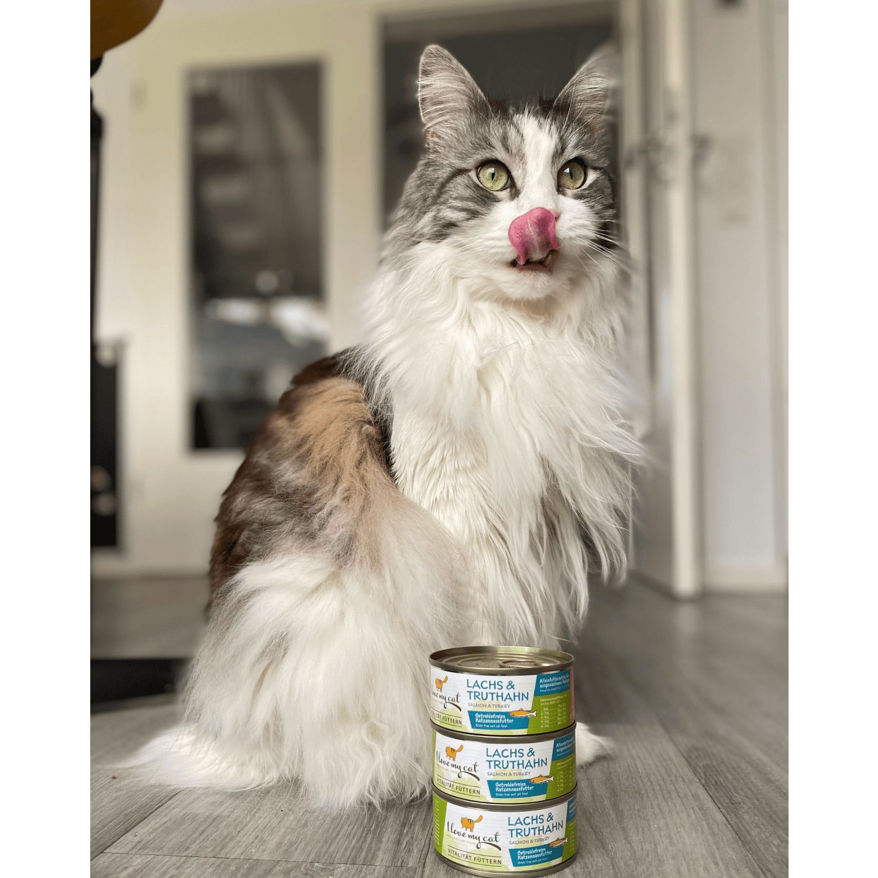 I love my cat Katzenfutter Nass mit Lachs und Truthahn