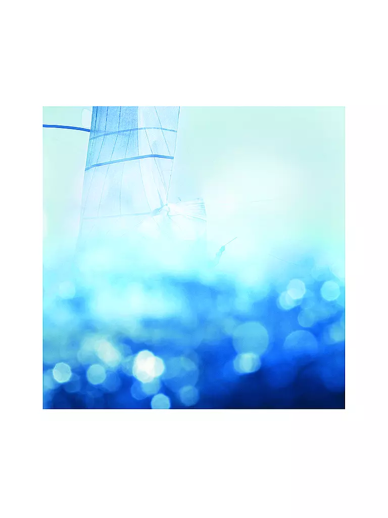 MAISON MARGIELA Replica Sailing Day Eau de Toilette 100ml keine Farbe