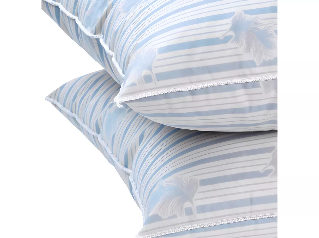 Lot De 2 Oreillers Plumes Véritables 60 X 60 
