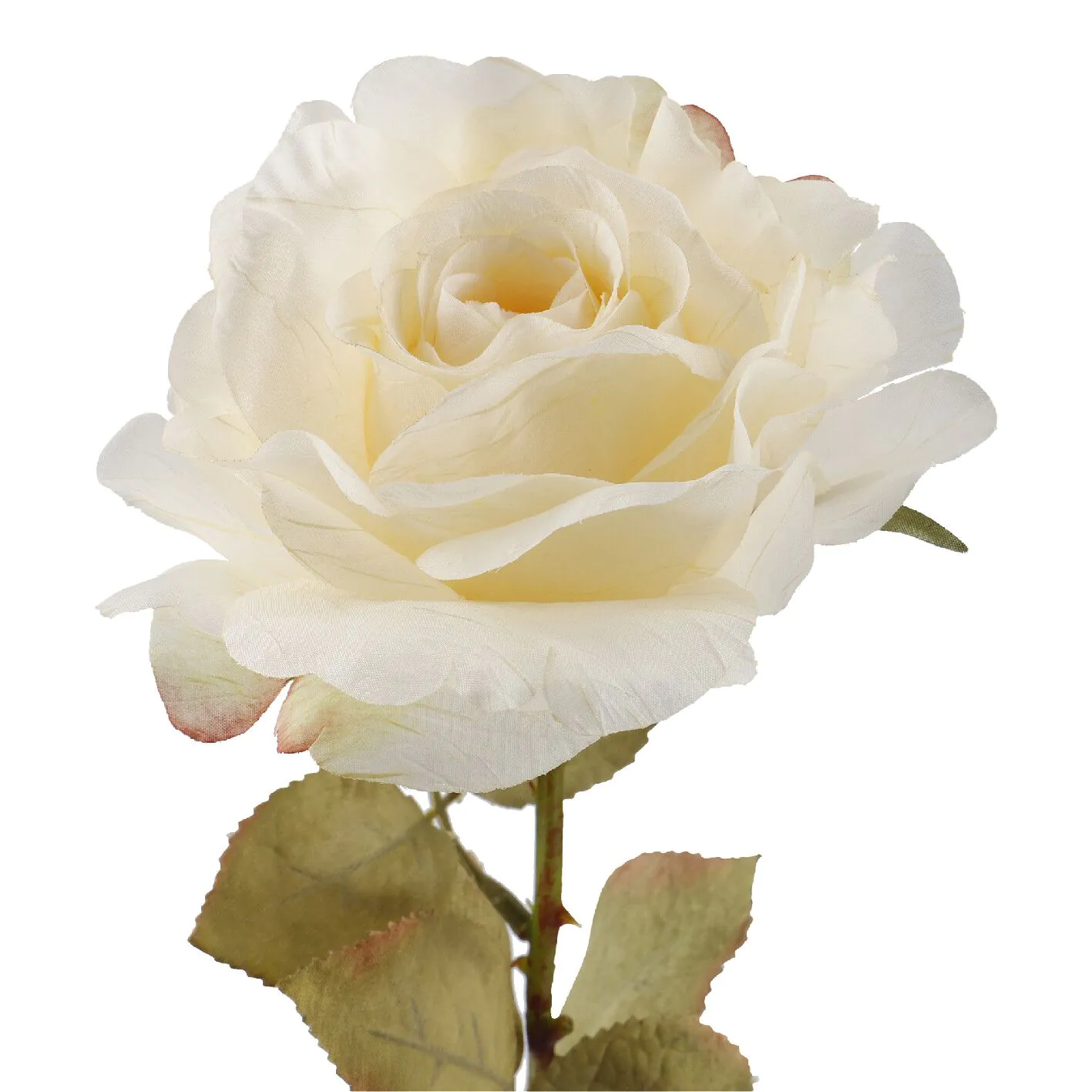 Rose Theresa, creme, 63 cm