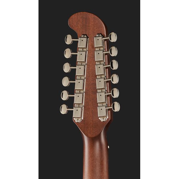 Fender Villager 12-String AGN