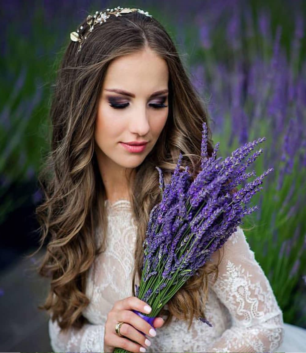 Lavendel 'Phenomenal®' im 2-Liter Topf