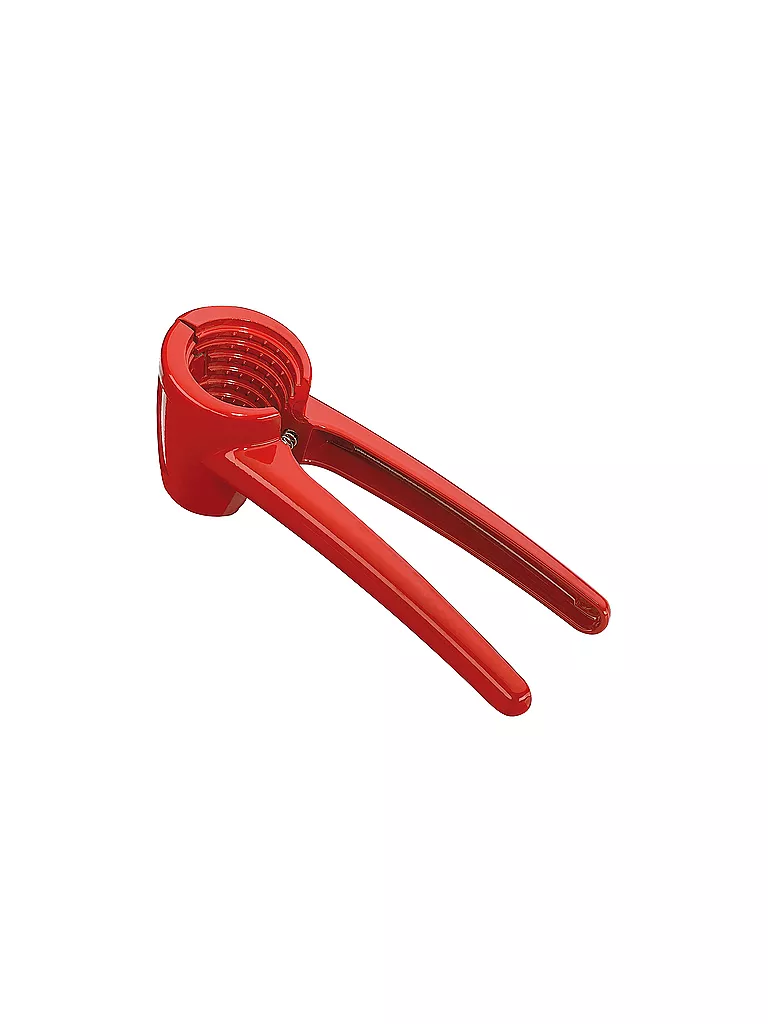 CILIO Nussknacker KNACKI bunt