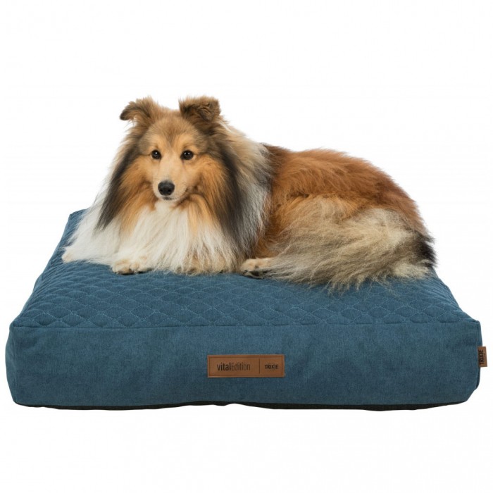 Coussin à mémoire de forme Tonio