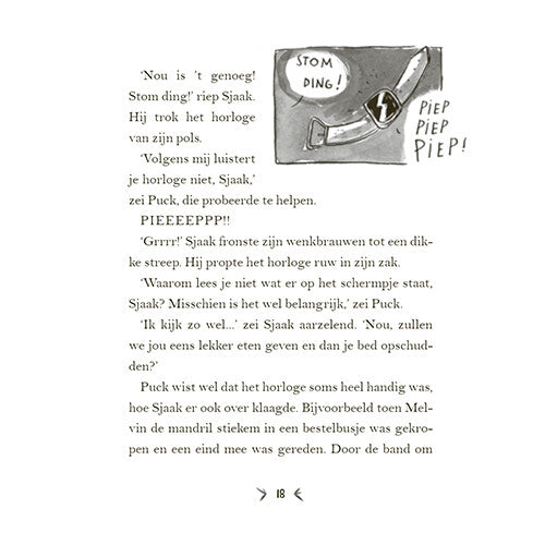 Uitgeverij condor een panda voor mijn verjaardag