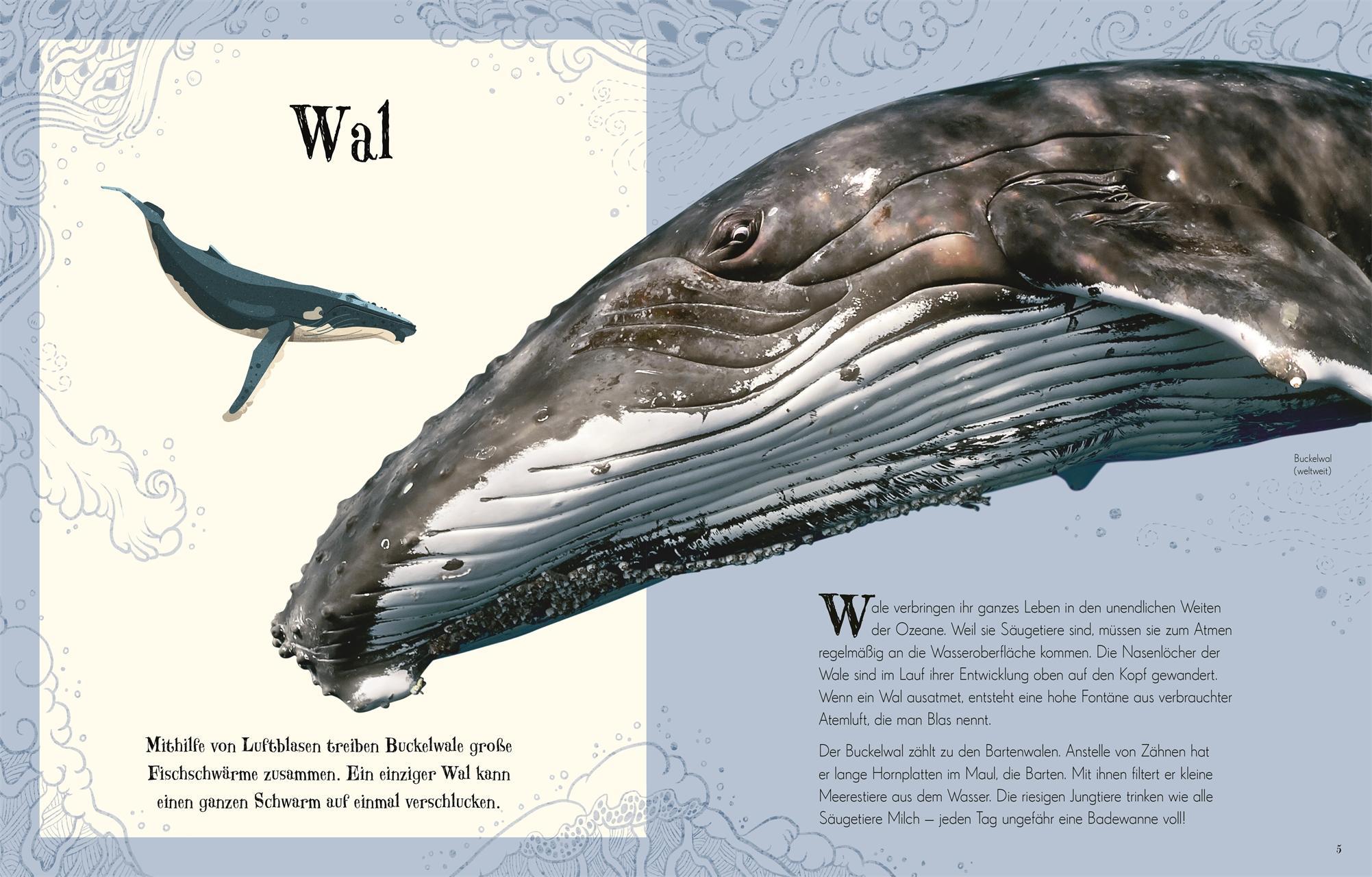 Wundervolle Welt der Tiere / Wundervolle Welt Bd.1