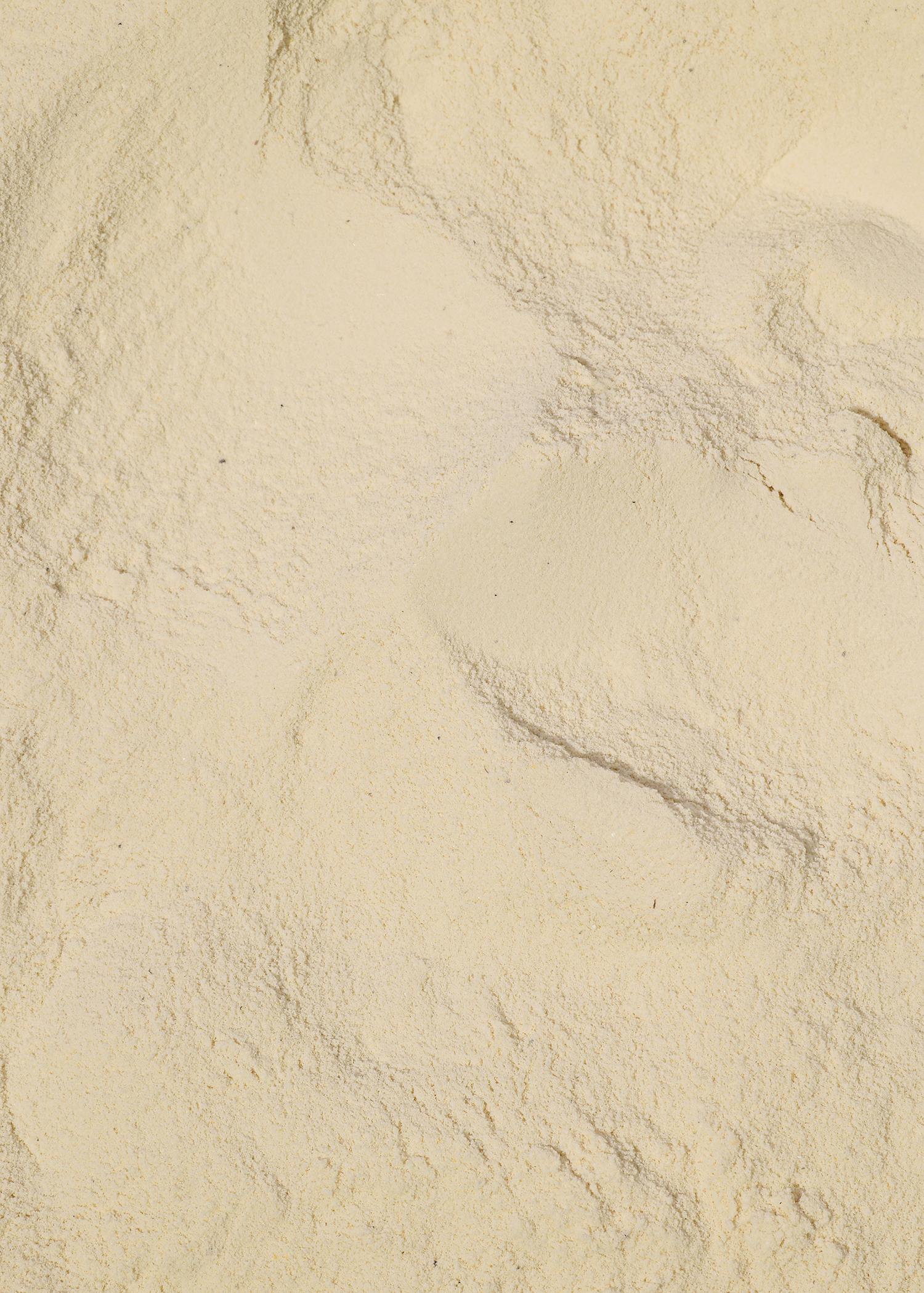 Vegan Protein Powder Creamy Vanilla 300 g