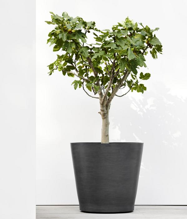 Ecopots Kunststoff-Topf Amsterdam mit Rollen,