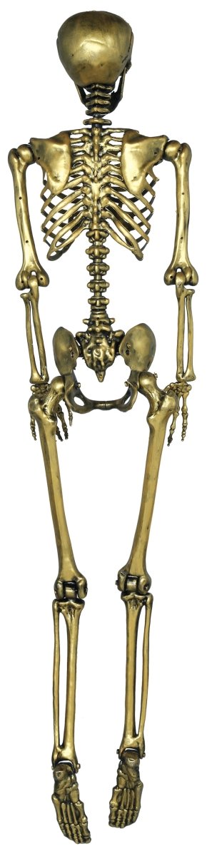Halloween Goud Skelet 90cm