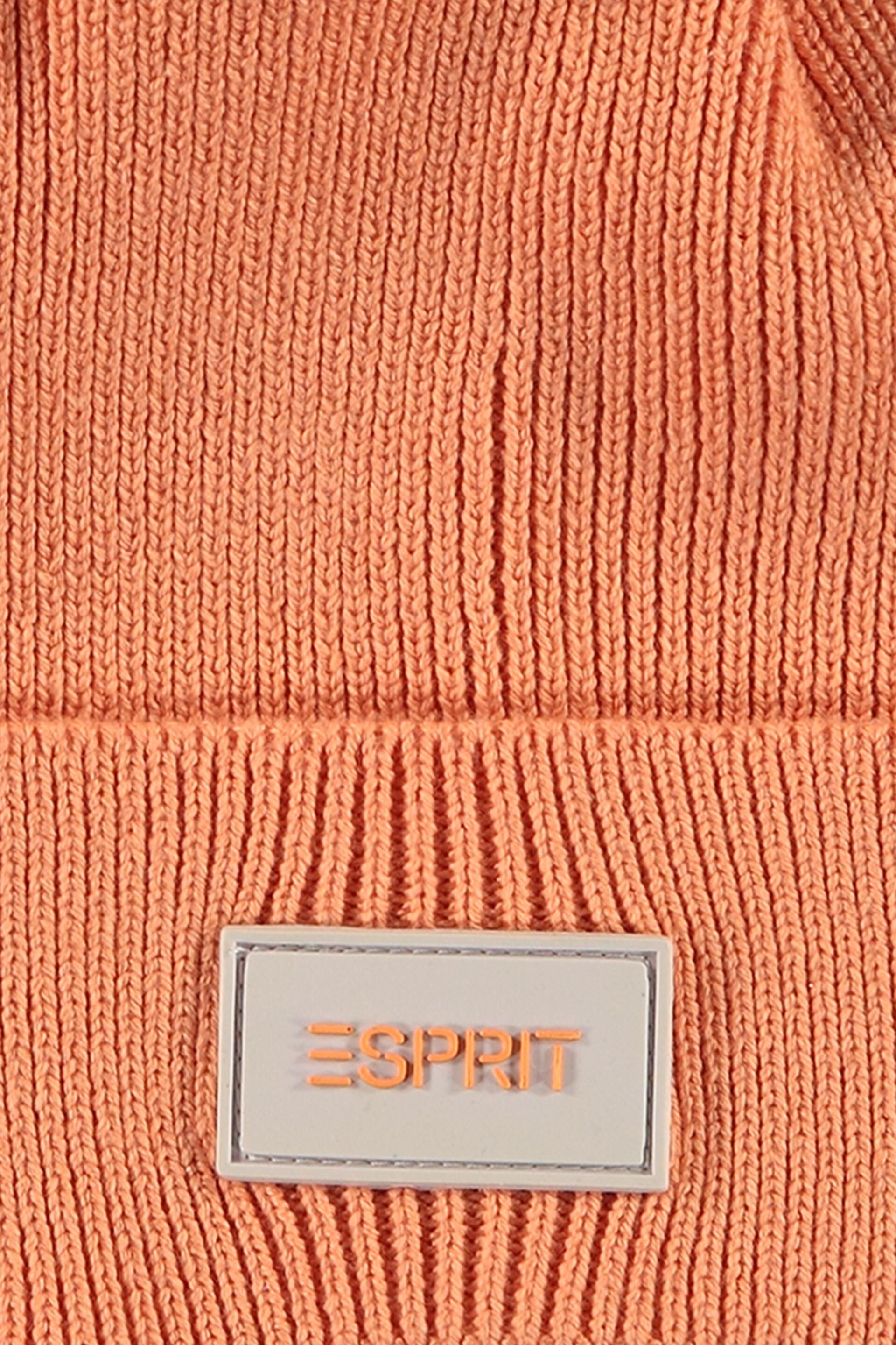 Hats Caps