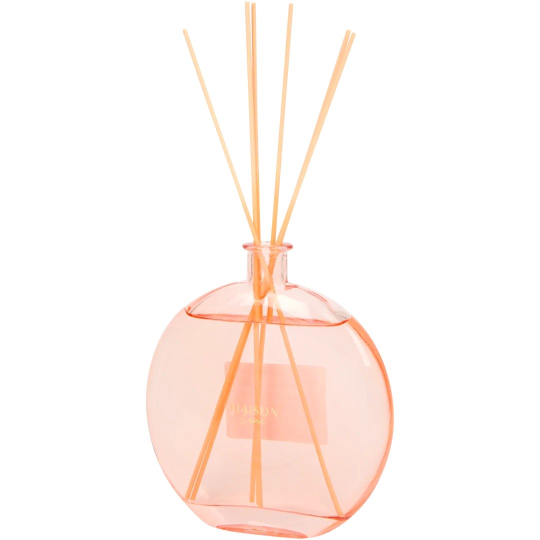 Diffuseur de parfum à bâtonnets