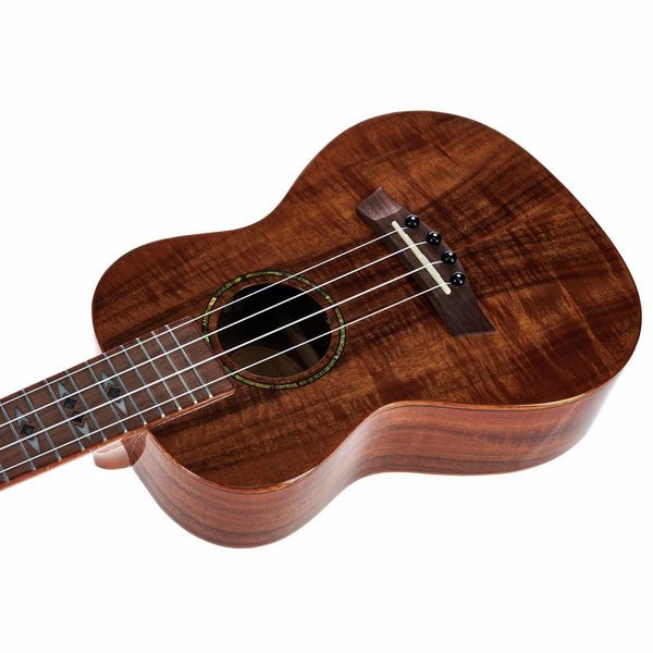 Flight DUC445 Glossy Acacia
