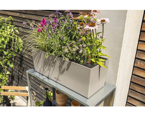 Lechuza Balconera Stone 50 H 19 cm beige balkonbak inclusief grondbewateringssysteem