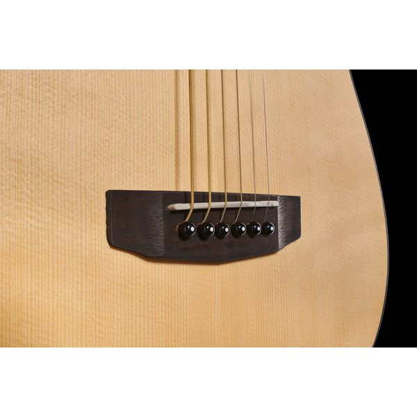Cort Earth Mini