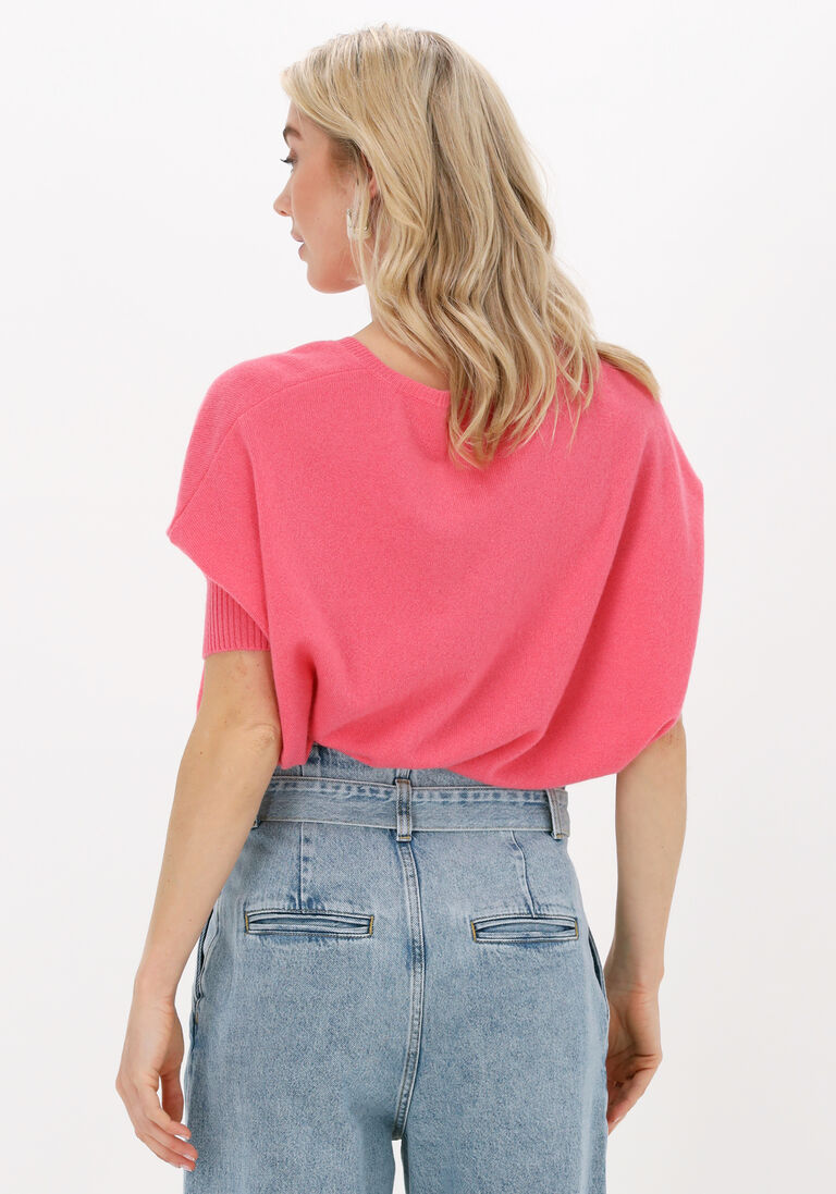 NOT SHY roze not shy trui aimee