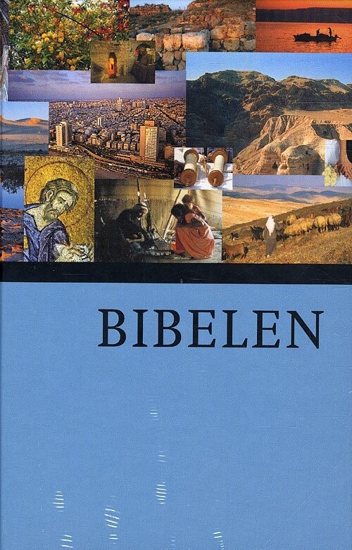 Bibelen Med Faktasider - Bog