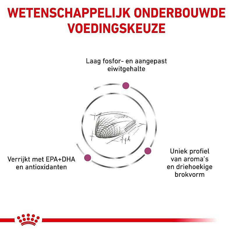 Royal Canin Renal Special kat Kattenvoer voor ondersteuning van de nierfunctie van volwassen katten