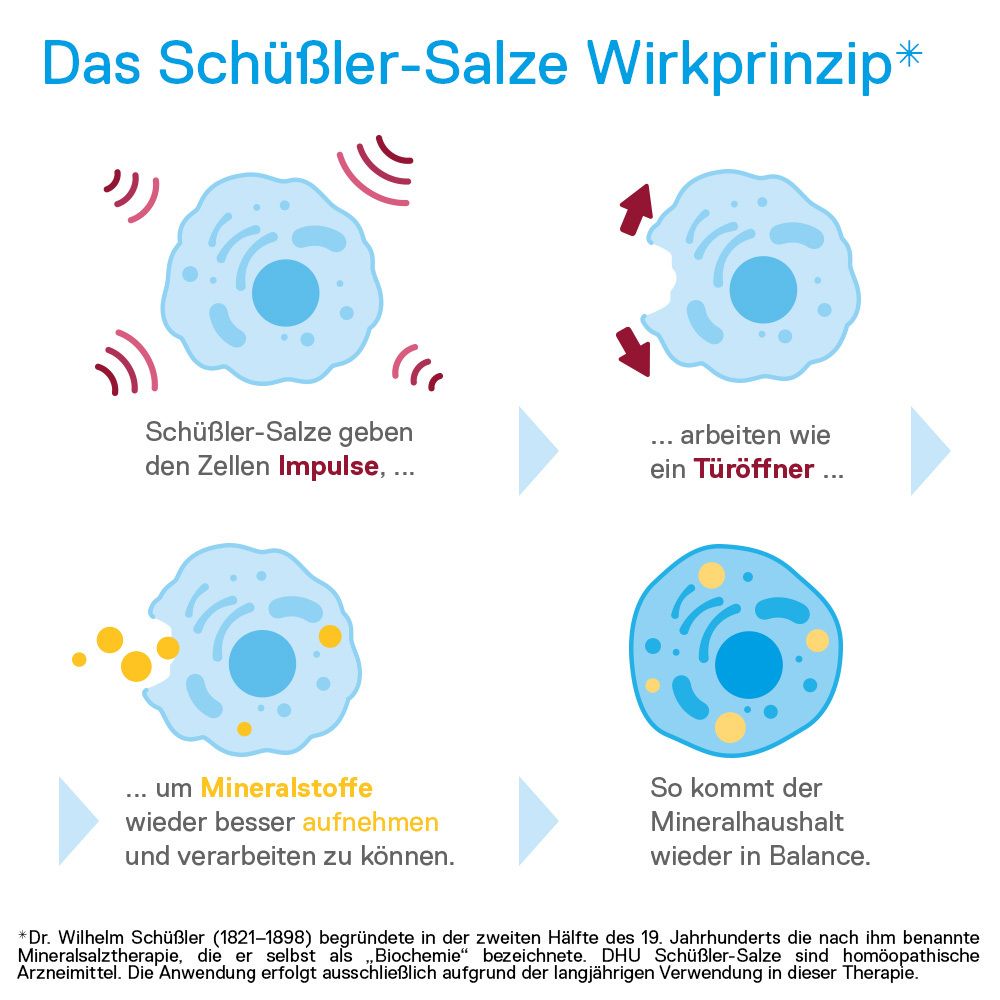 DHU Schüßler-Salz Nr. 8® Natrium chloratum D6