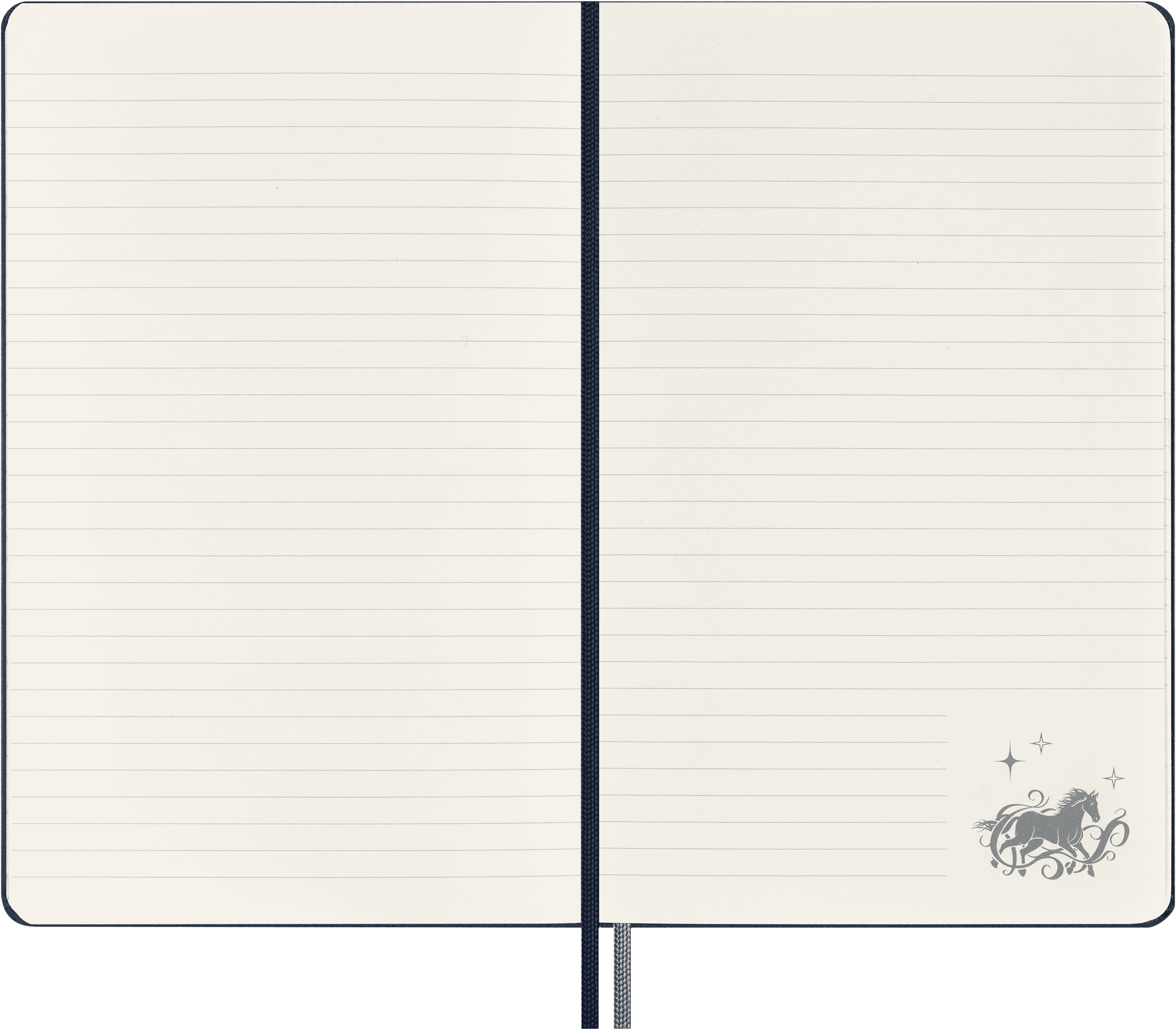 Wizarding World Harry Potter Limited Edition Notebook Large, ruled, hard cover