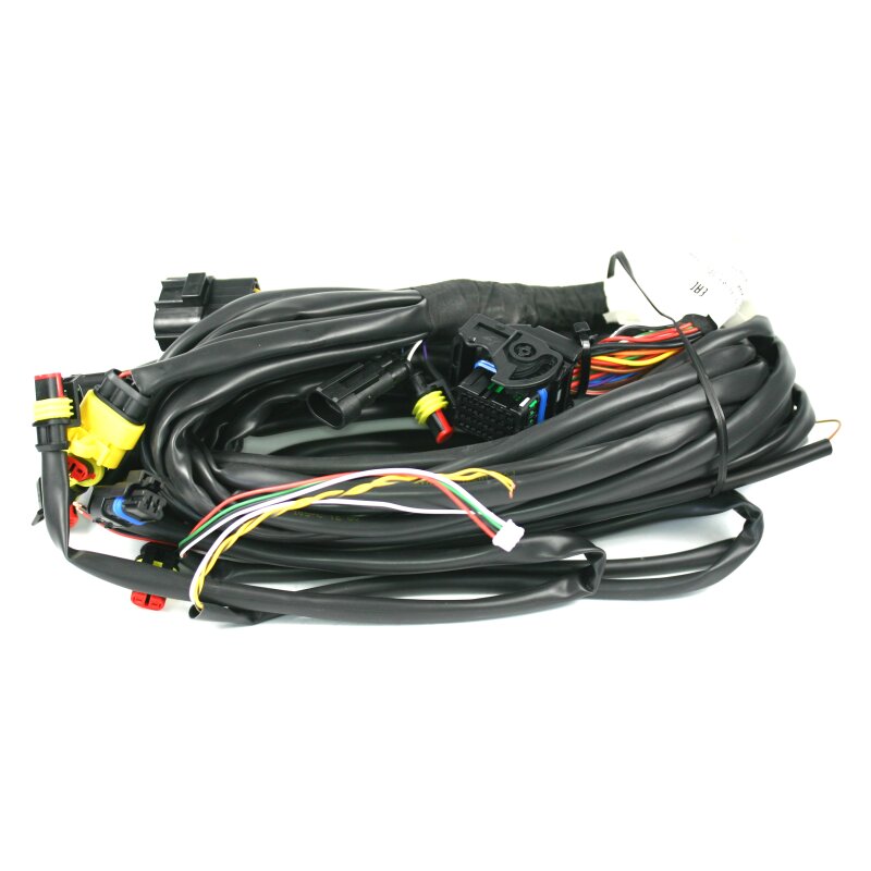 OMVL 4 Zylinder Kabelbaum DE544119 für OMVL DREAM on (ohne OBD Anbindung)