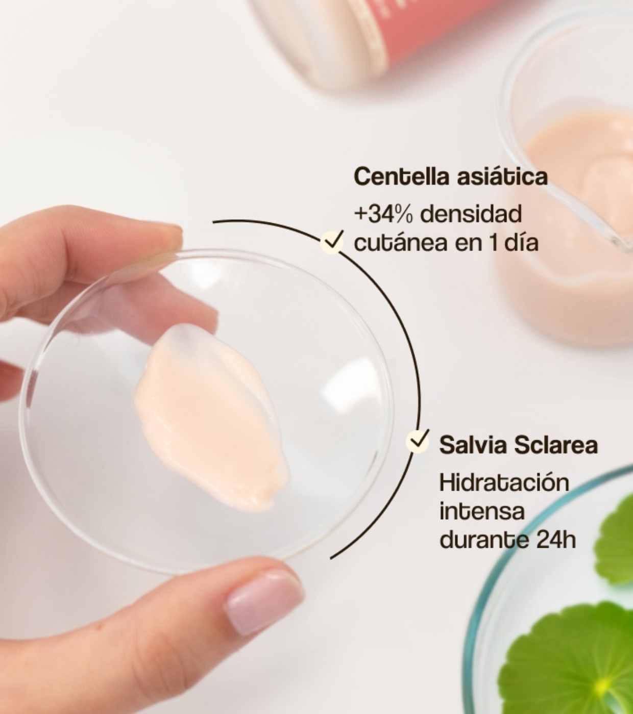 Freshly Cosmetics - Creme Hidratante Diurno Centella Asiatica CICA Calm - Pele seca e sensível