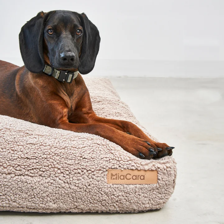 MiaCara - Senso Hundekissen, L, greige