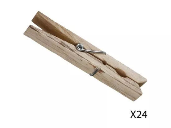 Lot de 24 Pinces à Linge 
