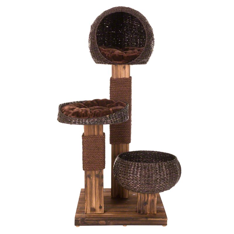 Arbre à chat Burned Wood