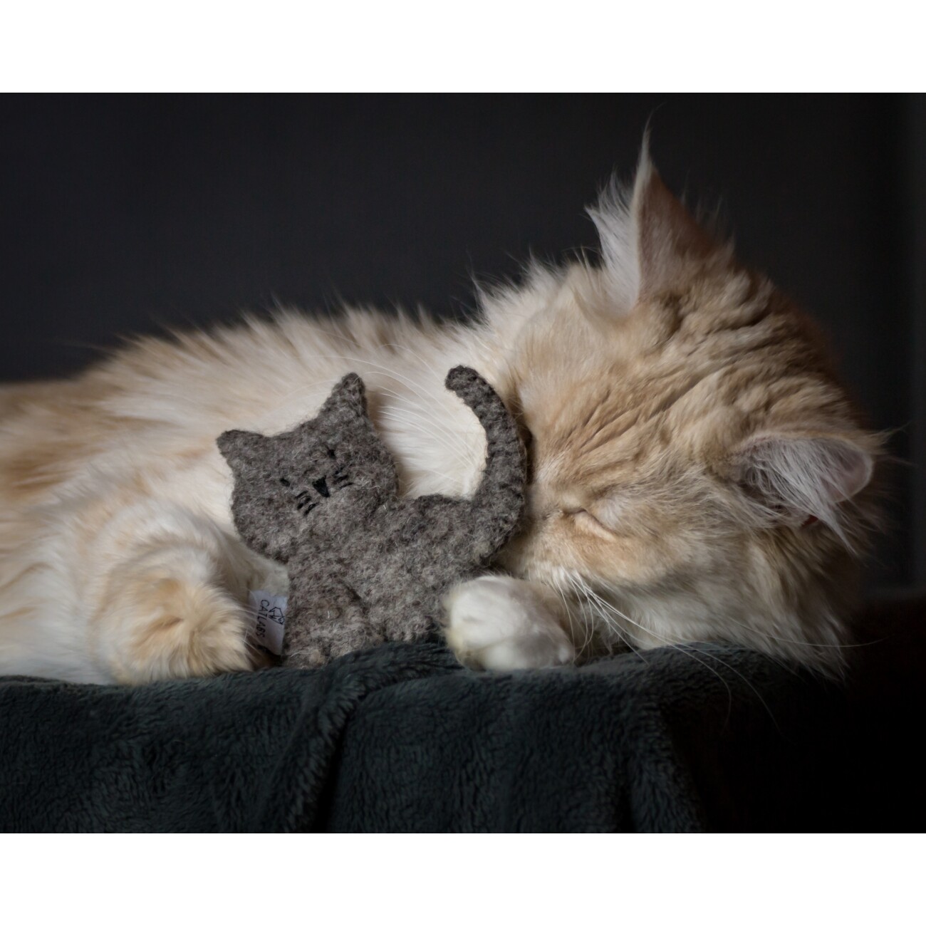 Catlabs Spielzeugset: Miau Moments