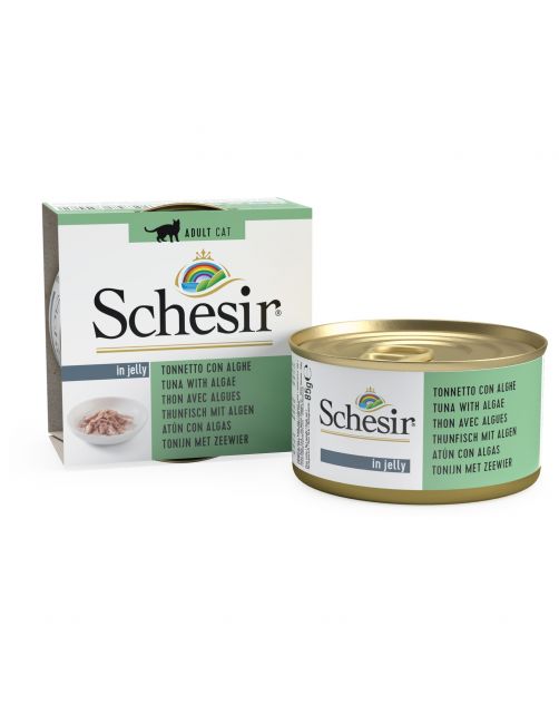 Schesir Kat Blik Gelei Vis 85 g - Kattenvoer