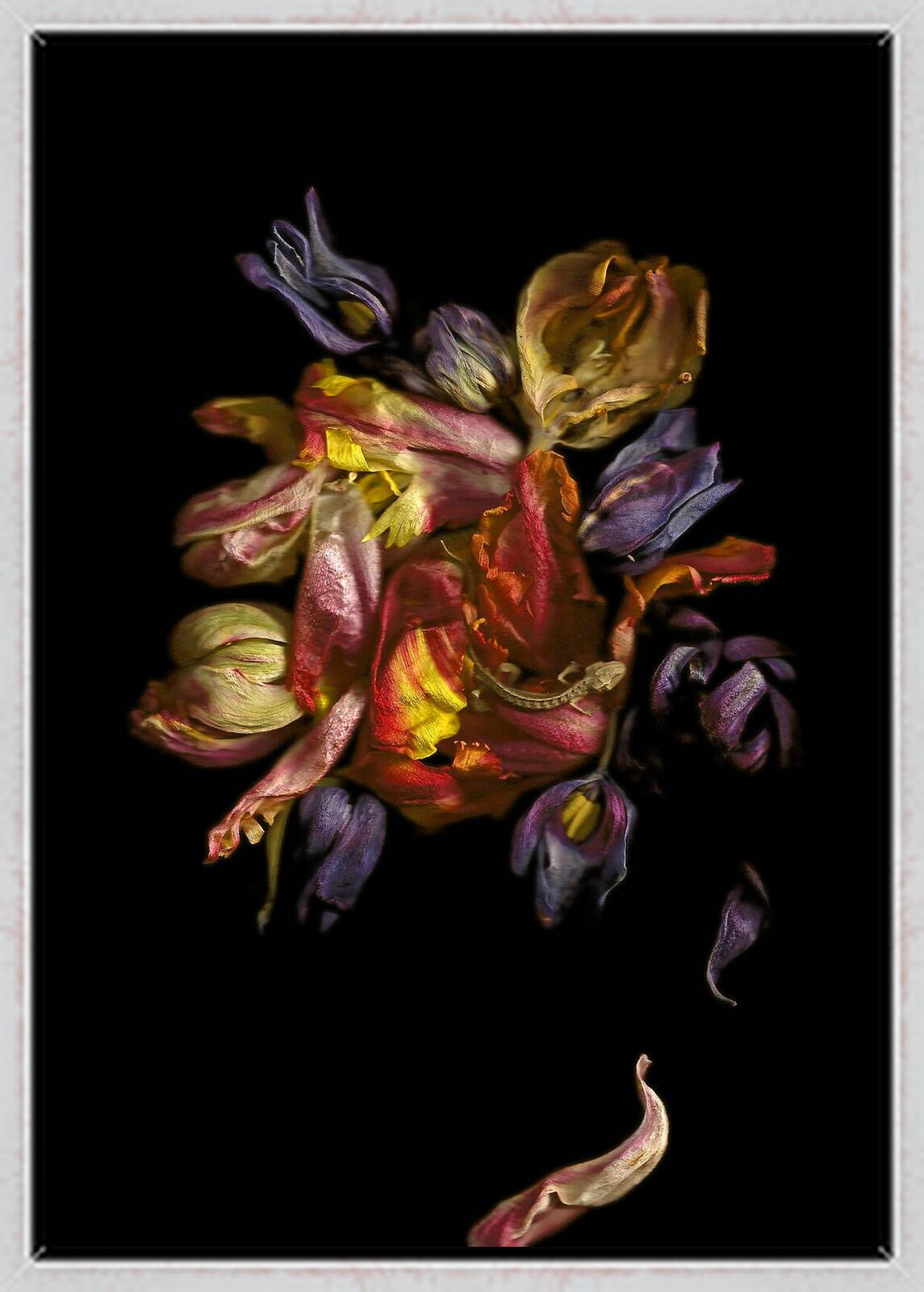 Vanitas VI by Annet van der Voort - Limited Edition. Edition of: 100. Signed.
