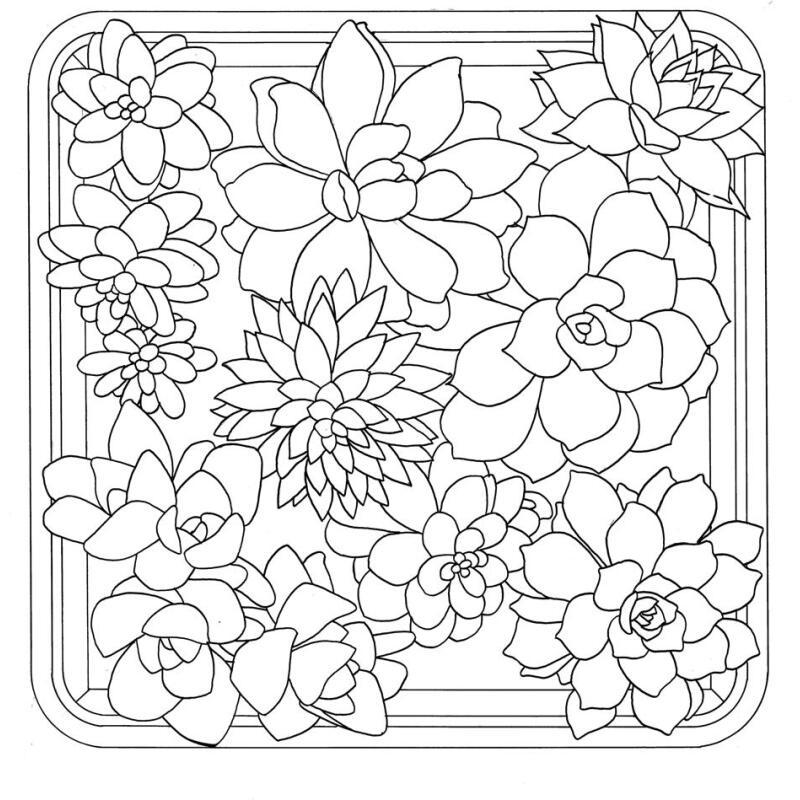 Coussin 100% soie - 40x40cm Succulentes - Blanc