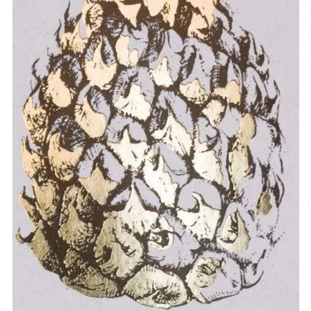 BRUNNEN Sammelmappe Pineapple, A4
