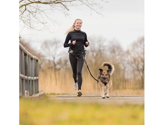 TRIXIE - Harnais de sécurité enfant Ceinture de jogging pour chien avec laisse gris et noir