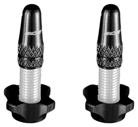 Kit de Bouchons en Aluminium (x2) et Ecrous (x2) Ice Airflow Noir