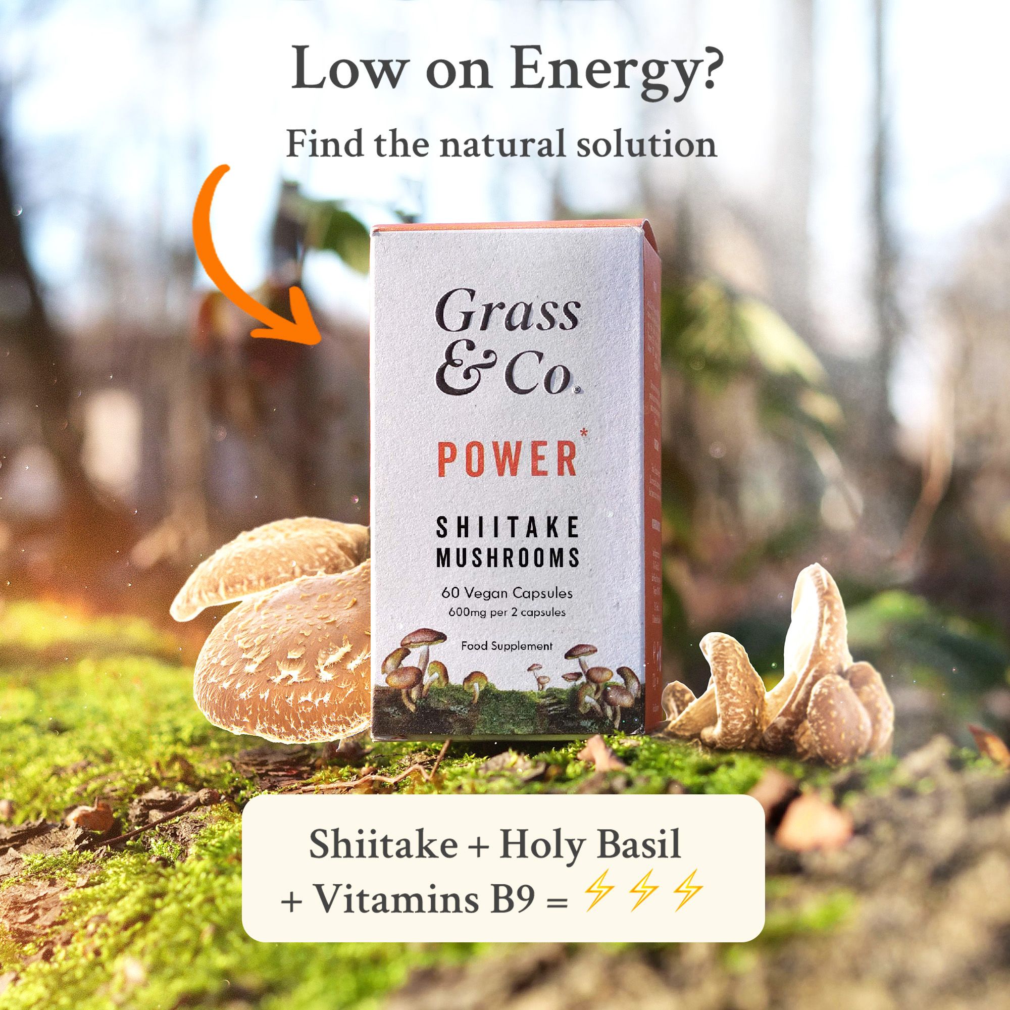 Grass & Co. Shiitake-Vitalpilz-kapseln