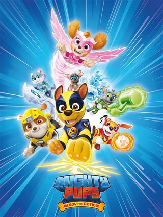 Keilrahmen Paw Patrol 46 x 61