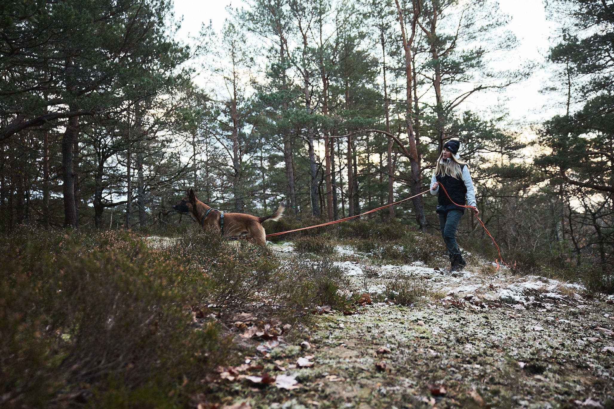 Non-Stop Dogwear Friction Long Line<br>Med gummitråder for godt grep!