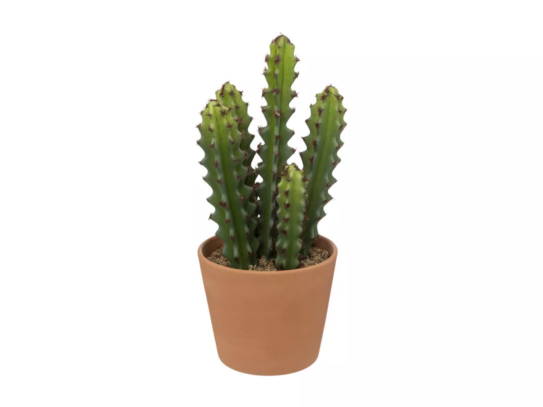 Plante artificielle Cactus dans Pot en Terre cuite H 30 cm