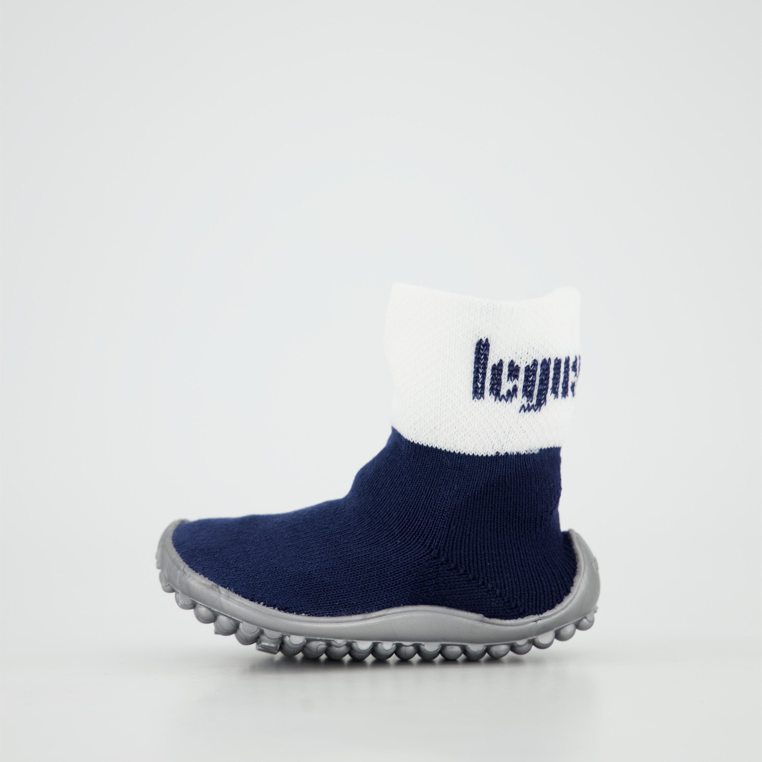 Leguano Leguanito