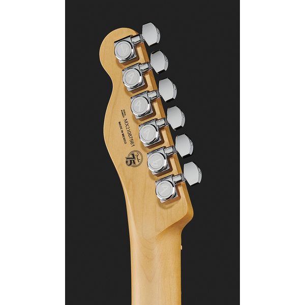 Fender Player Plus Nashv. MN Tele BB