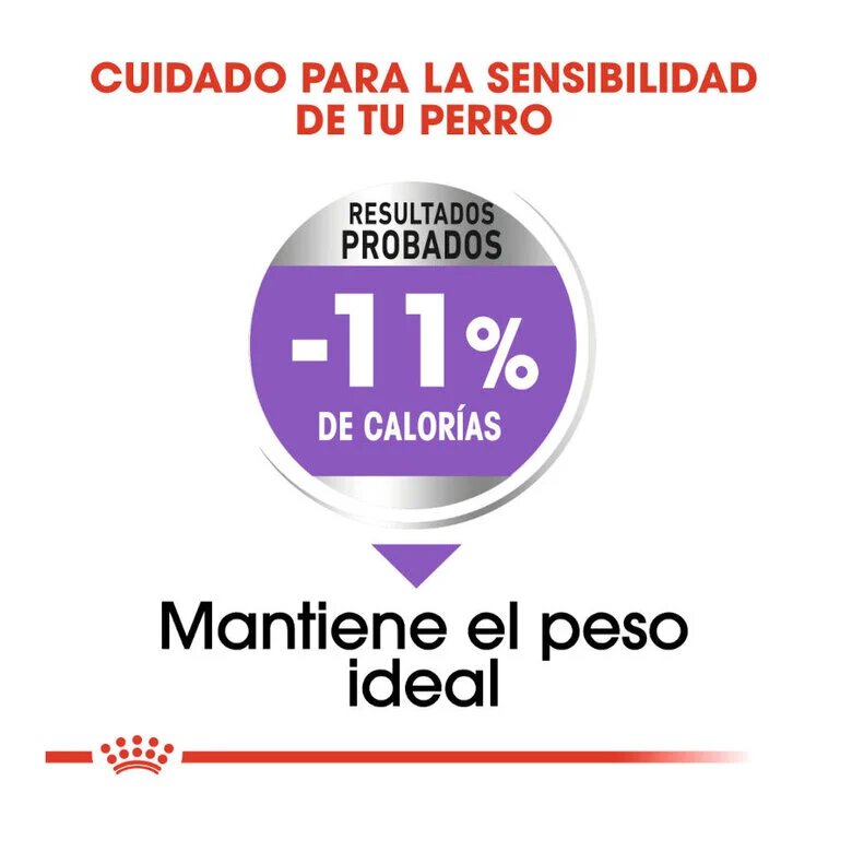 Ração esterilizada Royal Canin tamanho X-Small para cães.