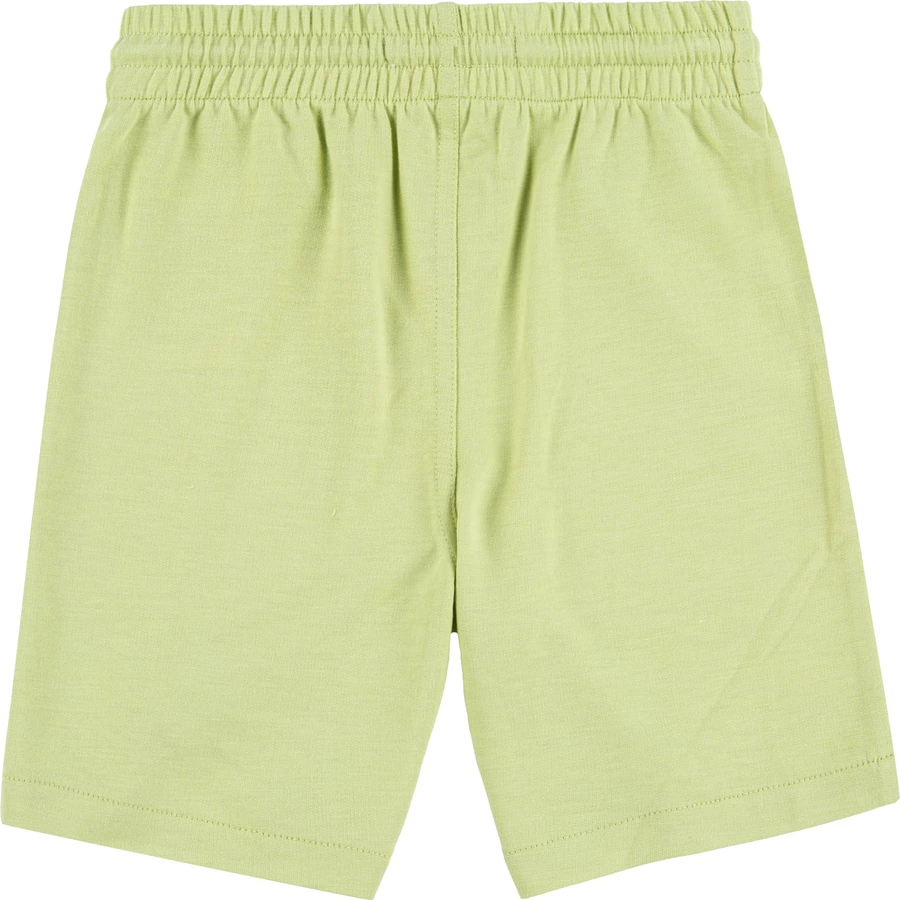 Levi's® Kids Boys Joggingshorts Nile Green