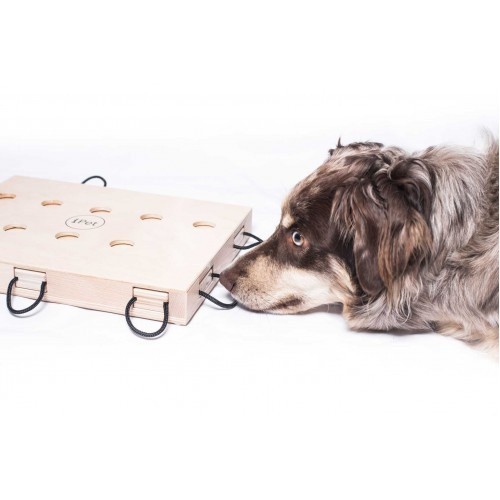 Jogo de Inteligência Canina iPet