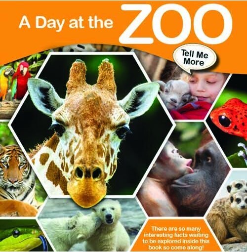 Tell Me More - A Day At The Zoo - English Book