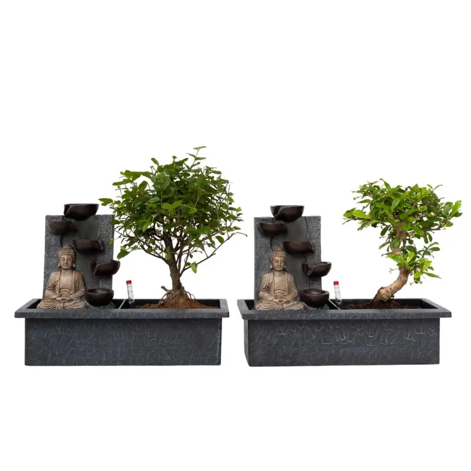 Bonsai met Buddha - Set van 2 - Bonsai - Hoogte 25-35cm - ⌀29cm