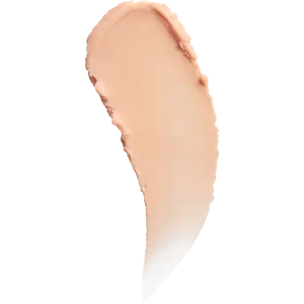 Pore Filler Primer