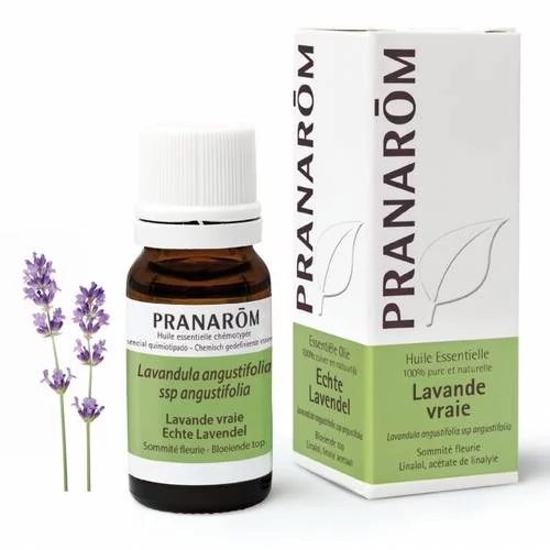 Lavande vraie - 10 ml Sommité fleurie